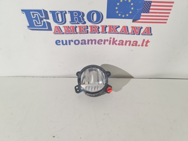 Fog Lamp